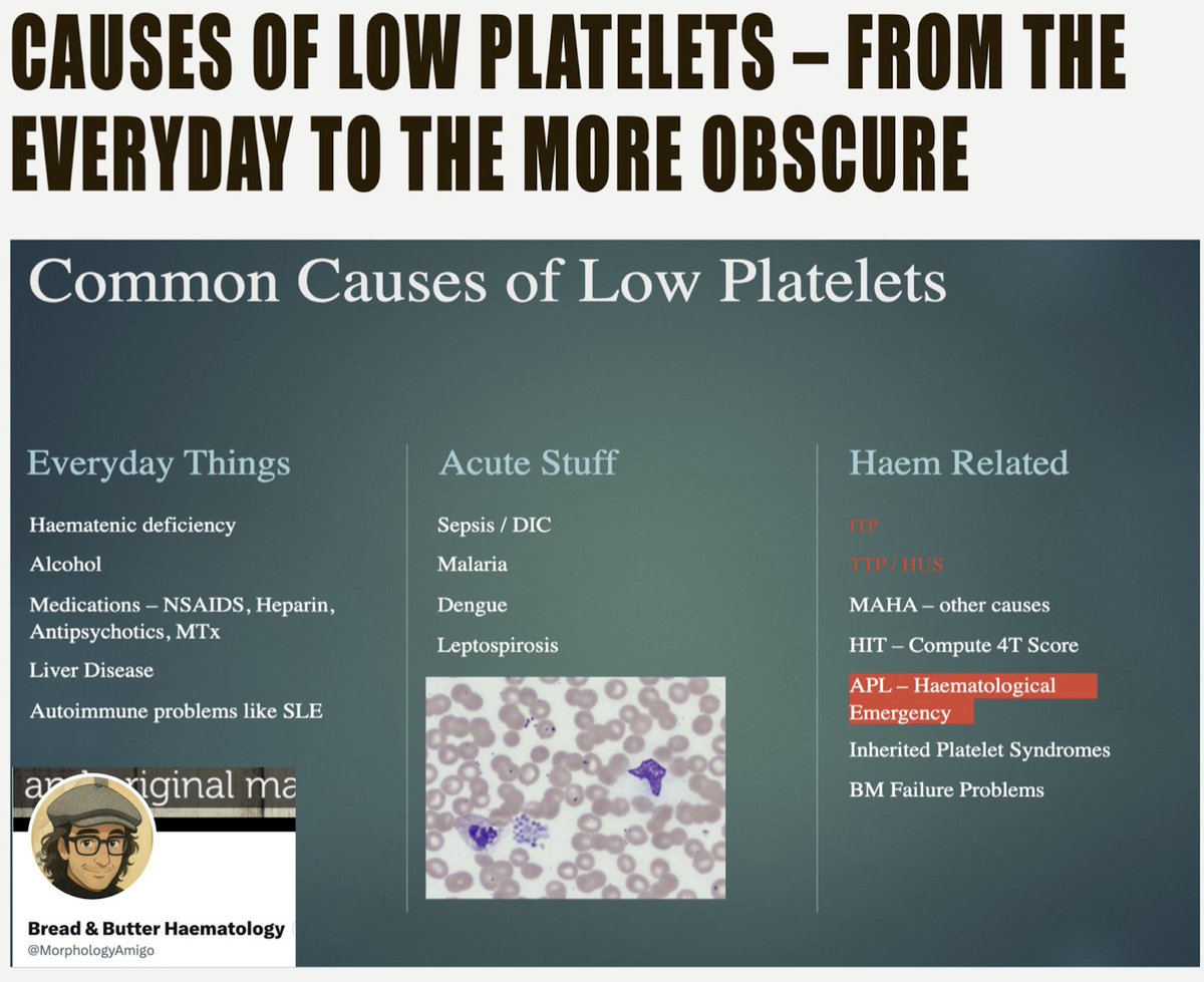 Low Platelet Causes Explained👇👇
The Cornerstone of almost every other Liaison Phone Inquiry 😀
#medicine #medtwitter #hematology #blooducation
