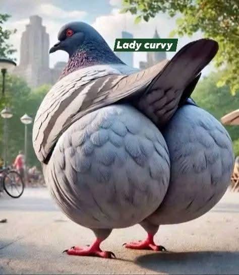 صاحبتي بعد ما قولتلها علي تركيبه مناطق الانوثه 😂♥️