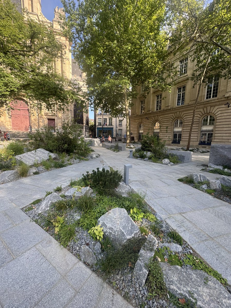 RevienParis ✨😽🚗🧚‍♀️ tweet media