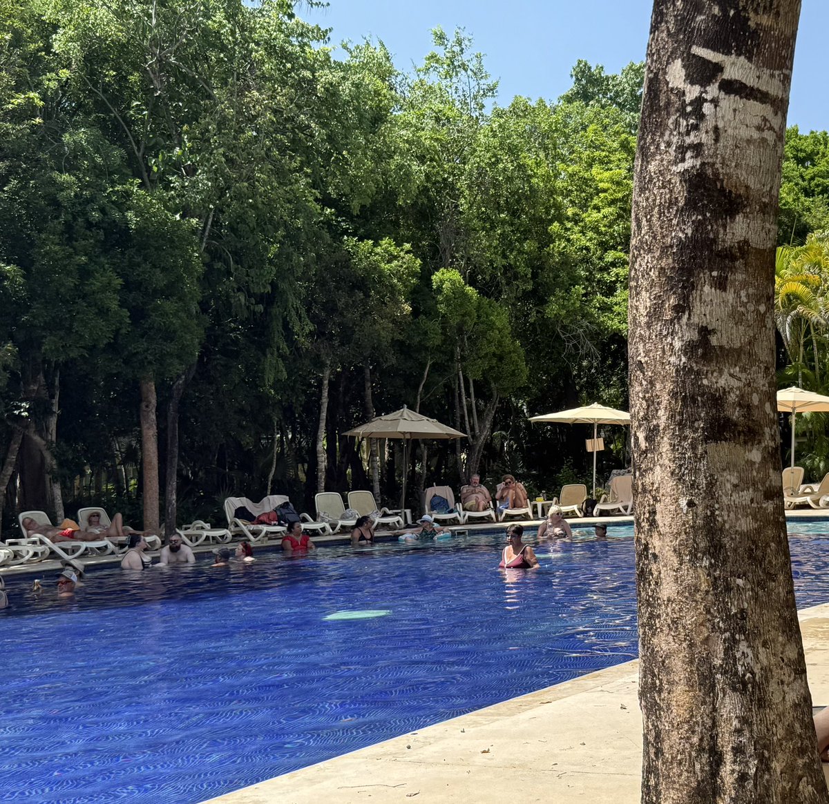 Matt Newman (@mattnewman81) on Twitter photo By the pool with a mango daiquiri (or 10) and the racing from <a href="/Star_Pelaw/">Star Pelaw Greyhounds</a> on the phone!
Unwinding from the Derby! By the pool with a mango daiquiri (or 10) and the racing from <a href="/Star_Pelaw/">Star Pelaw Greyhounds</a> on the phone!
Unwinding from the Derby!