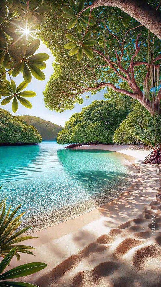 Amazing Nature (@amazingpicshq) on Twitter photo 