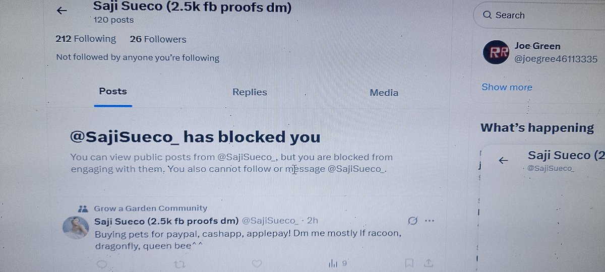 nanazaolinda's tweet image. hii yall!! this person is a scammer! they scammed me for sugar dough set, 110k and posey's crown! please dont believe and dont trade with them! please spread this post!