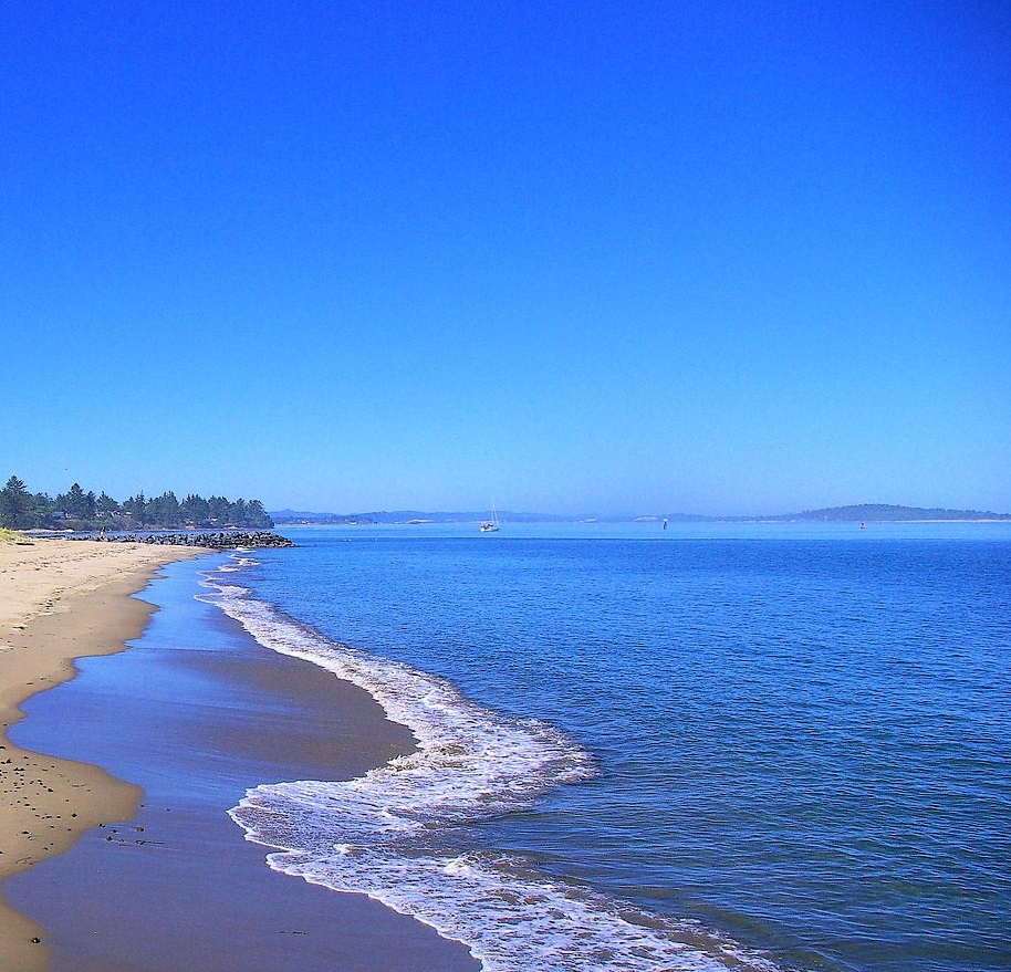 Caretaker couple or individual needed for a property located near Coos Bay, Oregon. Details about this new position were sent out to our paid subscribers in our latest email update.  Any questions, please email caretakergazette@gmail.com