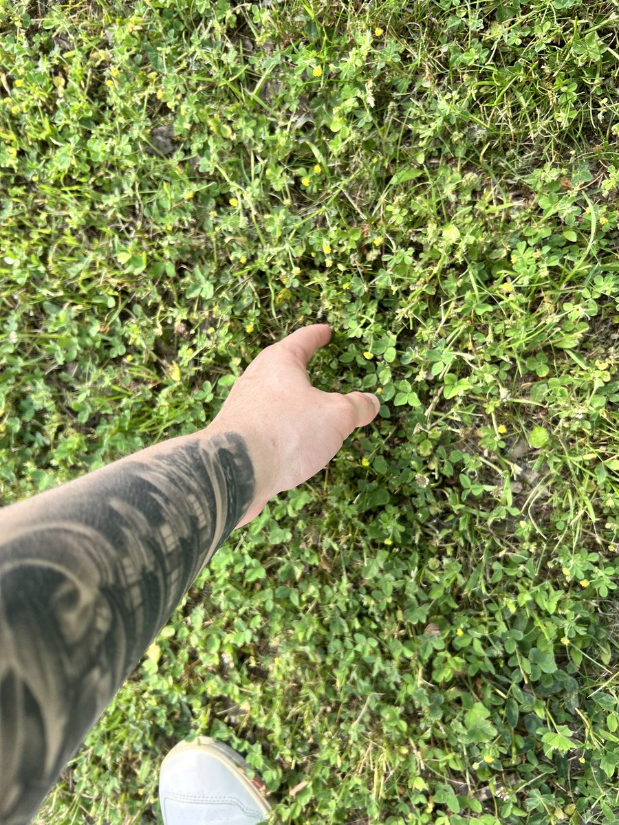 I be touching grass
