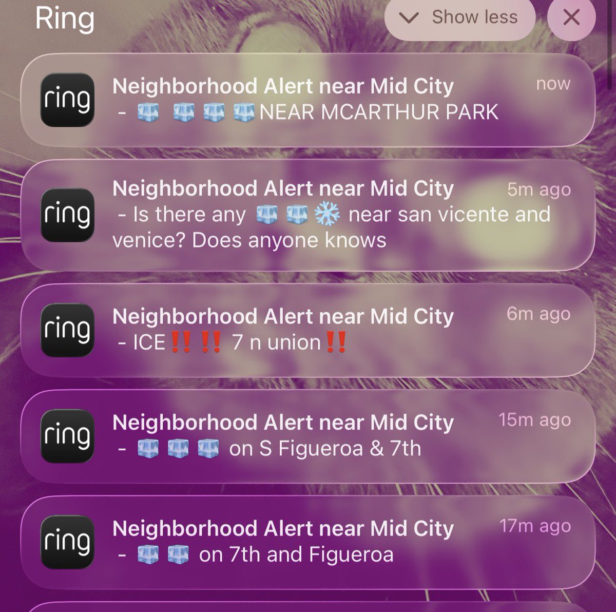 retriol's tweet image. It’s so fun thinking about how I might get harassed by people for being brown when I leave my house today, like I don’t enough shit to worry about #iceoutofla