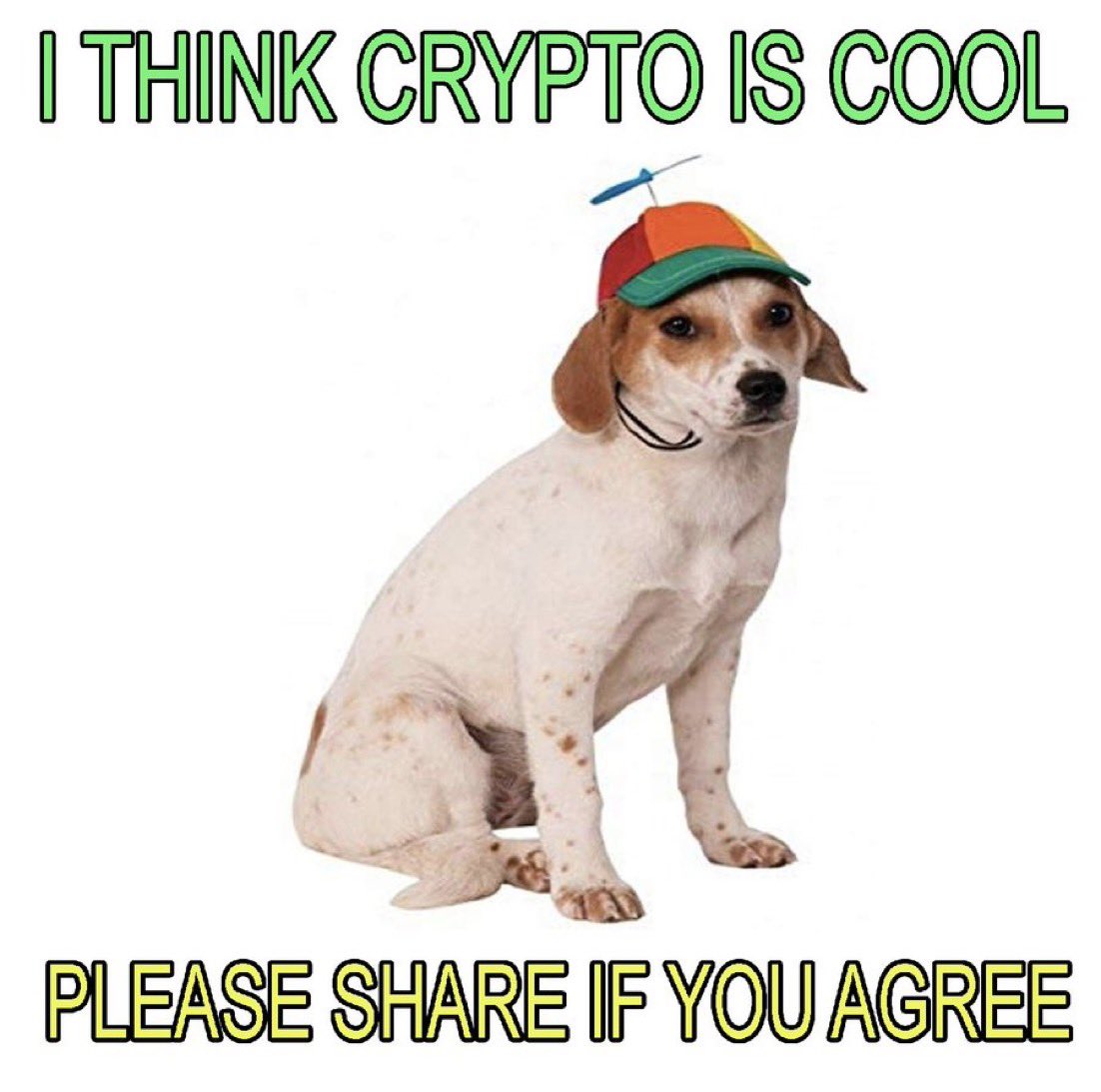 saracrypto_eth's tweet photo. Share to save crypto https://t.co/umvgHHbf2H