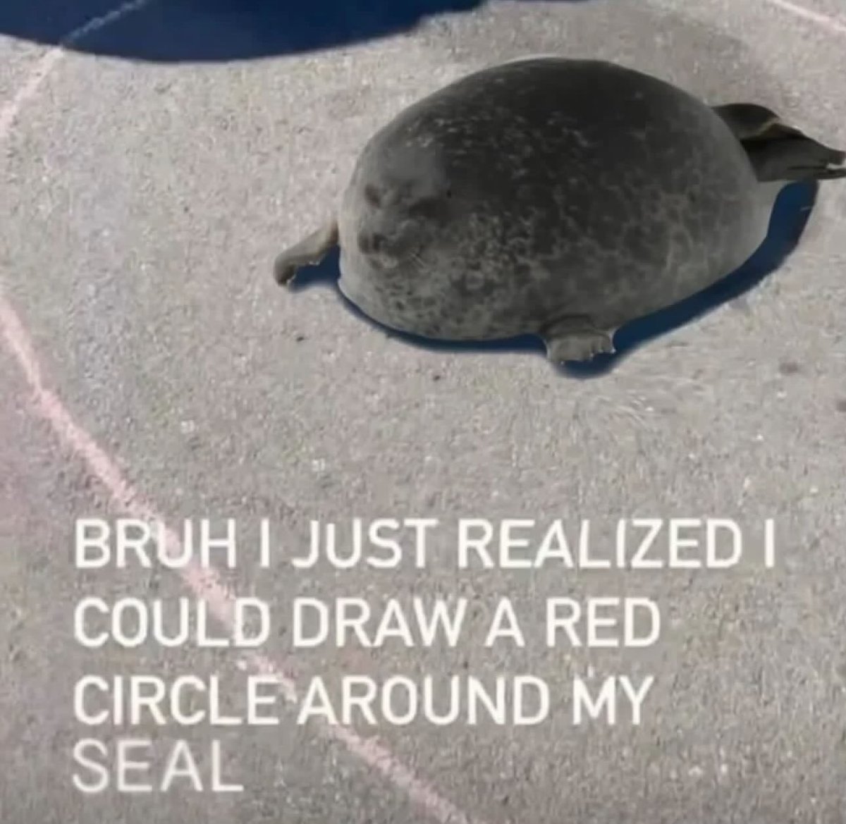 Isabella🖤🐈‍⬛🦇🐺🦭🐾 (@ethelcainine) on Twitter photo 