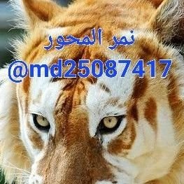 أبو_اسامة_ الفضلي(١٧) (@soltanmohsn2025) on Twitter photo ارجو التفاعل من الجميع <a href="/md25087417/">نمر المحور</a>
ارجو التفاعل من الجميع <a href="/md25087417/">نمر المحور</a>
ارجو التفاعل من الجميع <a href="/md25087417/">نمر المحور</a>
ارجو التفاعل من الجميع <a href="/md25087417/">نمر المحور</a>
ارجو التفاعل من الجميع <a href="/md25087417/">نمر المحور</a>
ارجو التفاعل من الجميع <a href="/md25087417/">نمر المحور</a>
نمر المحور هو نمر المنصةx لدعمكم
<a href="/md25087417/">نمر المحور</a> ارجو التفاعل من الجميع <a href="/md25087417/">نمر المحور</a>
ارجو التفاعل من الجميع <a href="/md25087417/">نمر المحور</a>
ارجو التفاعل من الجميع <a href="/md25087417/">نمر المحور</a>
ارجو التفاعل من الجميع <a href="/md25087417/">نمر المحور</a>
ارجو التفاعل من الجميع <a href="/md25087417/">نمر المحور</a>
ارجو التفاعل من الجميع <a href="/md25087417/">نمر المحور</a>
نمر المحور هو نمر المنصةx لدعمكم
<a href="/md25087417/">نمر المحور</a>