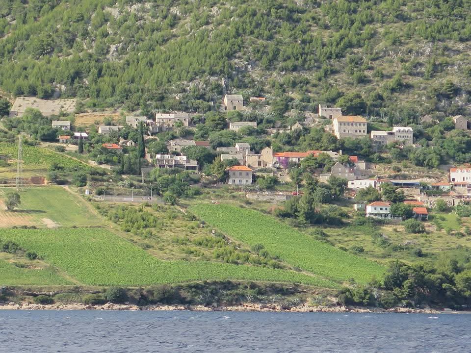 NZAllison's tweet image. The little town of Bol on the island of Brac. We arrived about 6pm so walked to the famous Golden Horn  beach then to a meal at the Topolino restaurant.
#Brac
#Bol