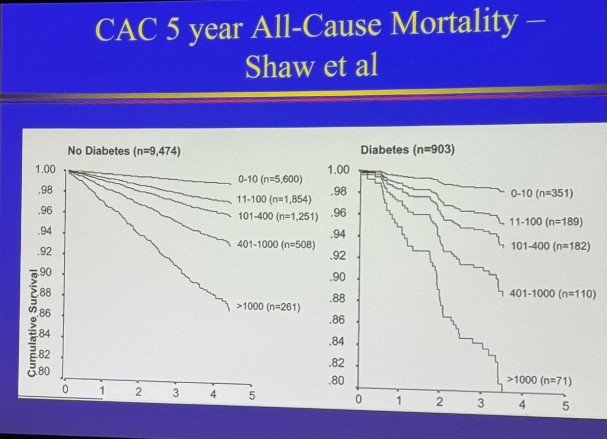 Dr. Anda Garay tweet media