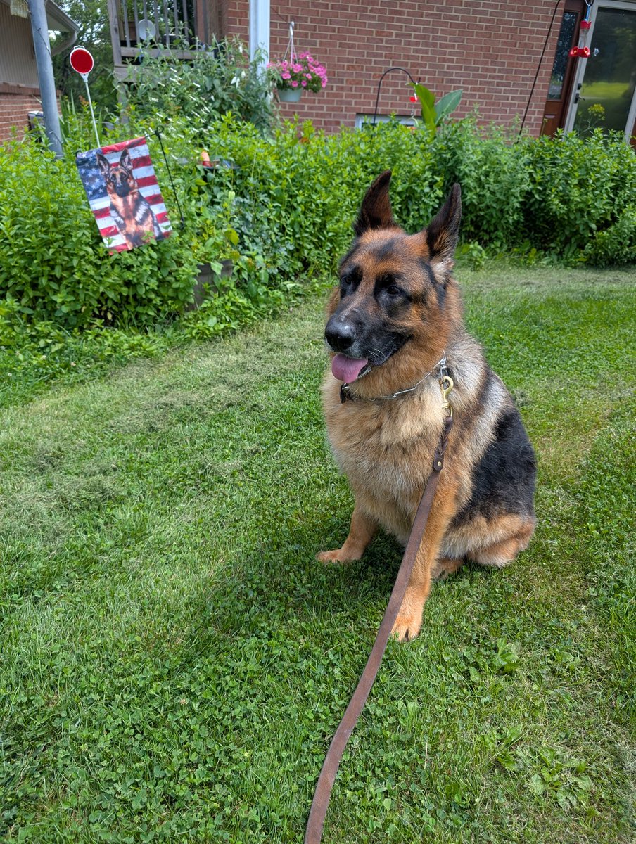 MrsAkersTechEd (@rakersrea) on Twitter photo FFA raising money through dog wash event. And the end result of one dog <a href="/CTE_BaltCoPS/">BCPS CTE Office</a> <a href="/MiVidaMParham/">MiVida M. Parham (She/Her)</a> FFA raising money through dog wash event. And the end result of one dog <a href="/CTE_BaltCoPS/">BCPS CTE Office</a> <a href="/MiVidaMParham/">MiVida M. Parham (She/Her)</a>