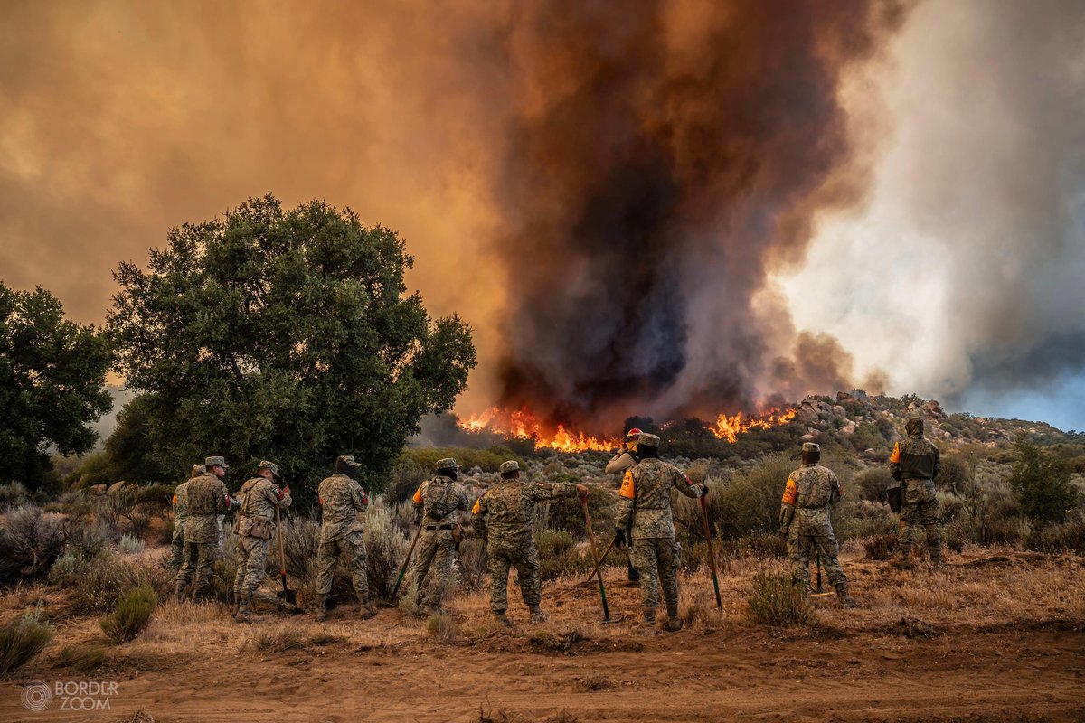 Santiagod181281's tweet image. El #EjércitoMexicano se suman a las labores de control y extinción de dos #incendios activos en #Tecate, Baja California.
El fuego, iniciado el pasado 16 de junio, ya arrasó más de 8 mil hectáreas, lo que generó densas humaredas que afectan la calidad del aire.