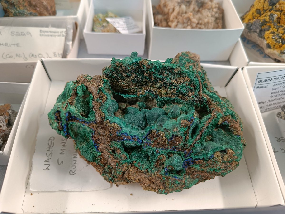 Isabel Queay tweet media