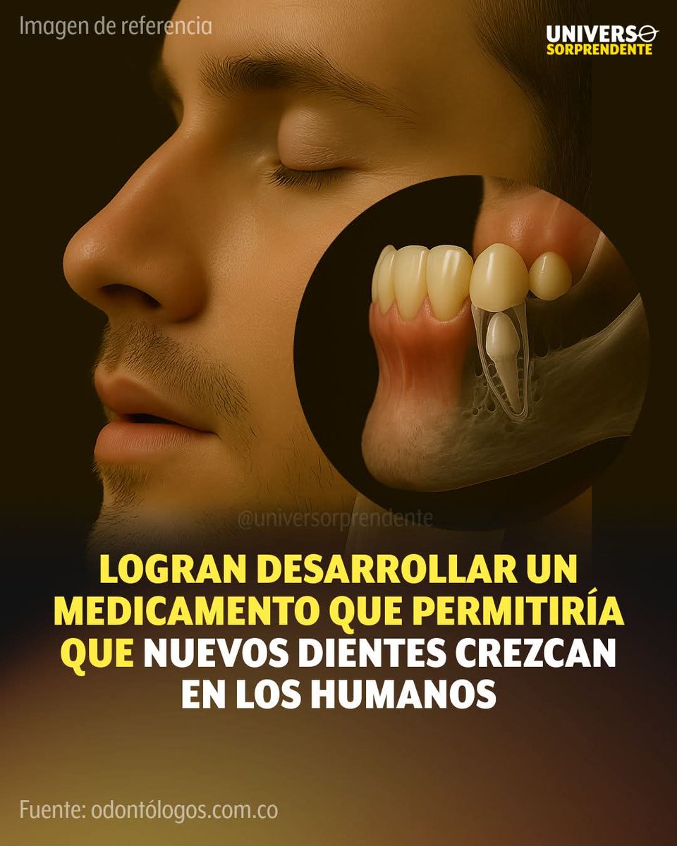 Antonio N Orellana Reyes (@protbestfriend) on Twitter photo 