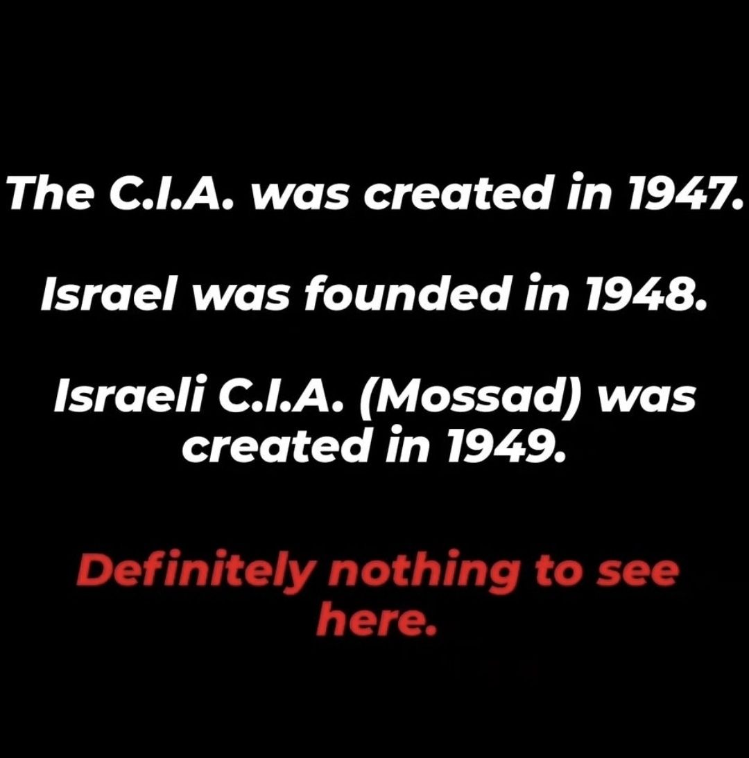 Redpill Drifter (@redpilldrifter) on Twitter photo 