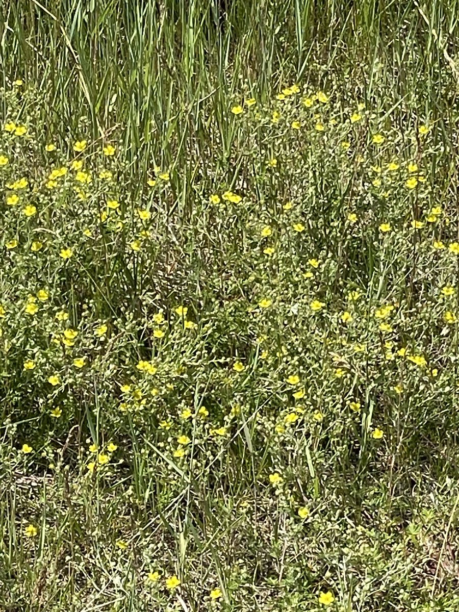 Anyone know what this is?