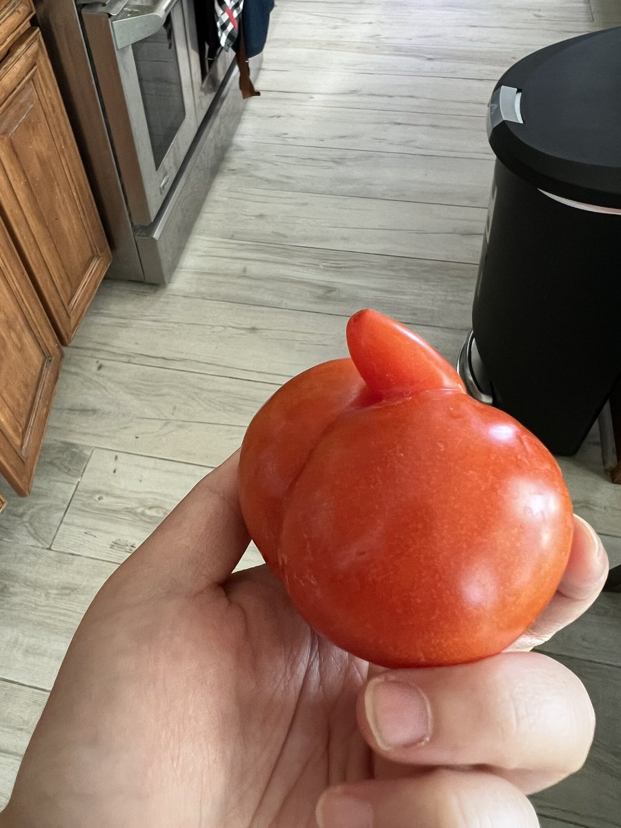 Anh Dang tweet media