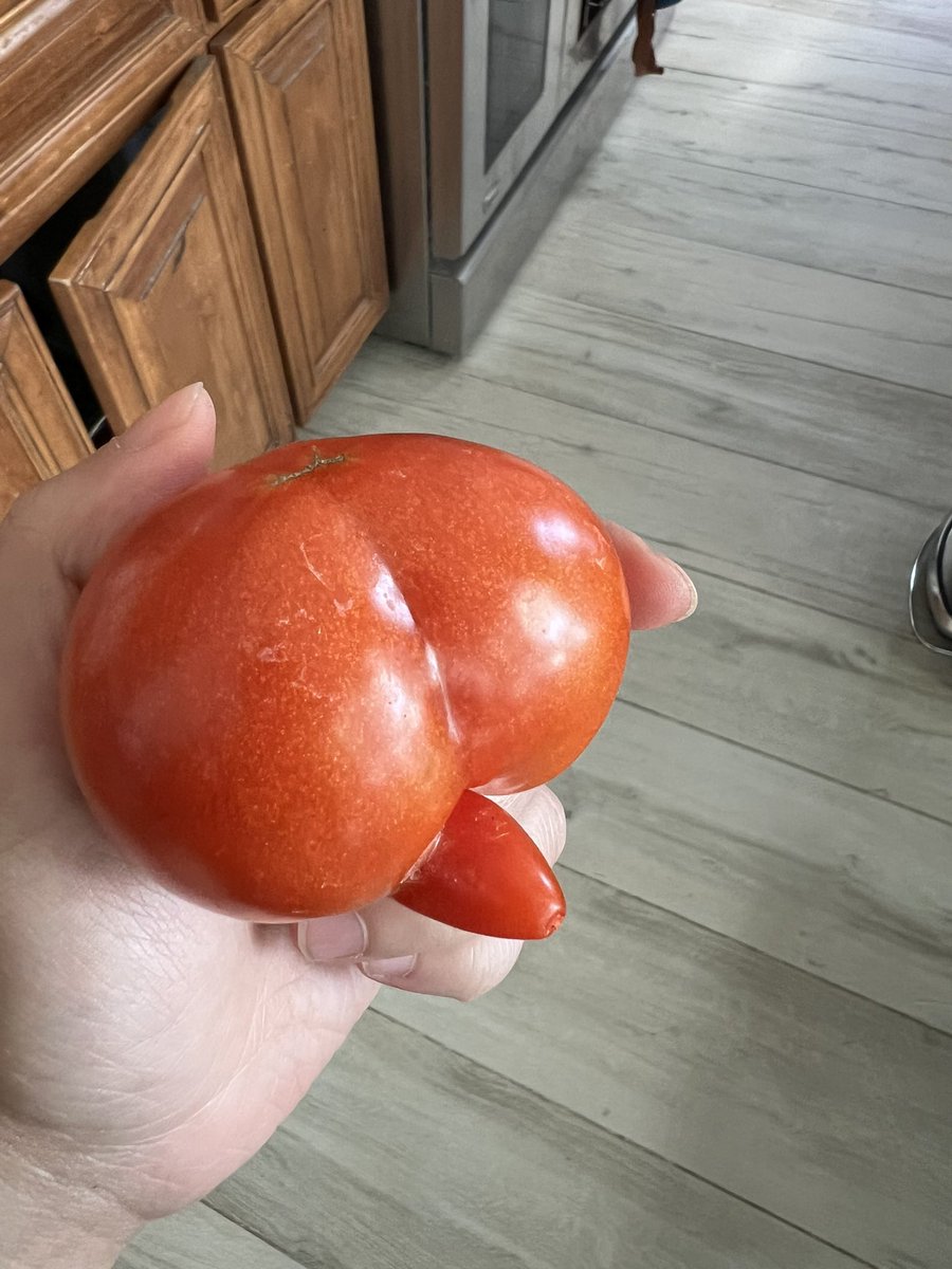 Anh Dang tweet media