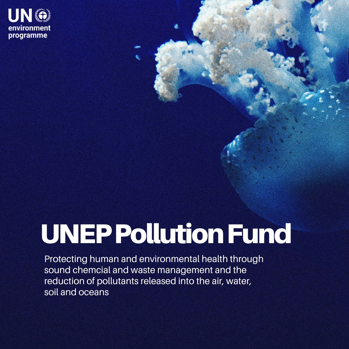 The UNEP Pollution Fund protects human and environmental health through sound chemical and waste management and the reduction of pollutants released into the air, water, soil and oceans.

See its important impacts here: unep.org/about-un-envir…