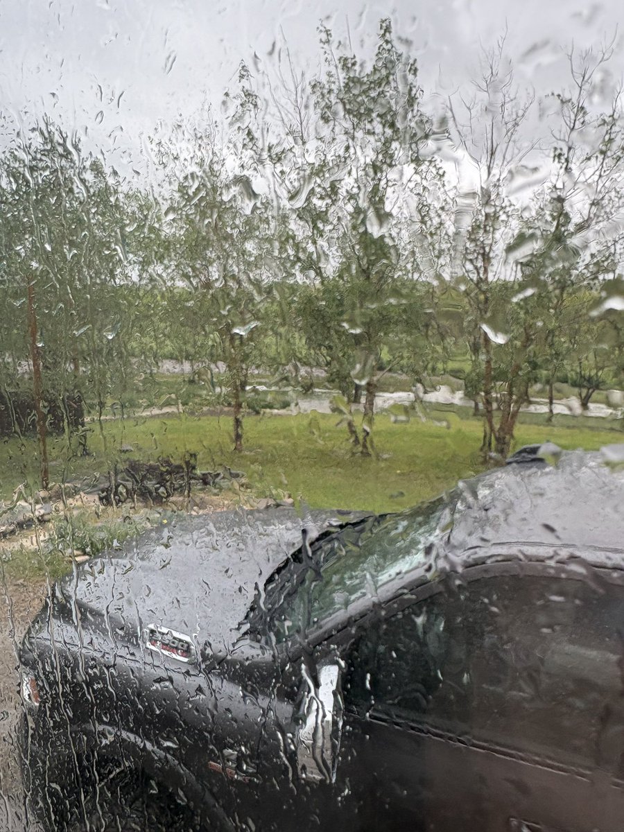 Joel Seime tweet media