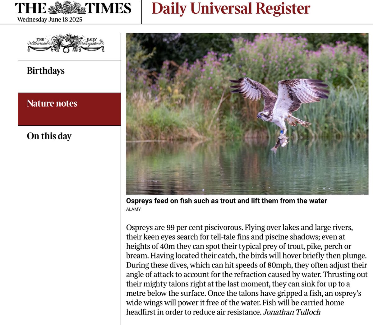 Paul McKenna (@paulmckenna4) on Twitter photo Hexameters which owe much to <a href="/JonathanTulloch/">Jonathan Tulloch</a> ‘Nature notes’ <a href="/thetimes/">The Times and The Sunday Times</a> Hexameters which owe much to <a href="/JonathanTulloch/">Jonathan Tulloch</a> ‘Nature notes’ <a href="/thetimes/">The Times and The Sunday Times</a>
