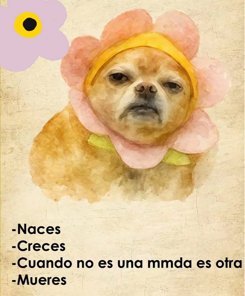 En Júpiter (@en_jupiter_) on Twitter photo 