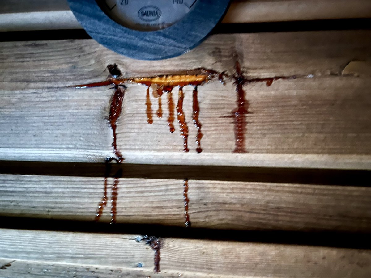 Käsittämätöntä, että Hugo Simbergin Haavoittuneen enkelin ensimmäinen luonnos on meidän rantasaunan seinässä.