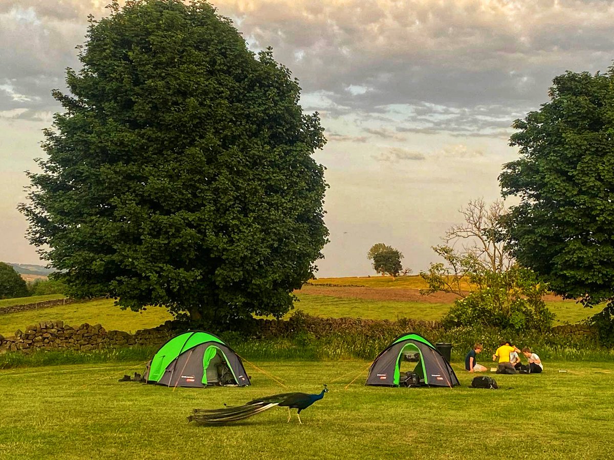 A visitor in camp this evening <a href="/AlleynsSchool/">Alleyn's School</a> <a href="/_JaneLunnon/">Jane Lunnon</a> #AlleynsDofE #AlleynsAdventure <a href="/DofE/">The Duke of Edinburgh’s Award</a> <a href="/Alleyns_AW/">Alleyn's Activities Week</a> 🥾🥾🏕️🏕️⛺️⛺️
