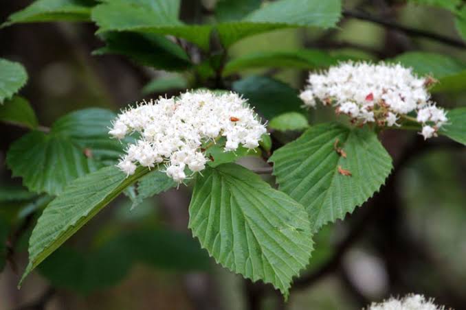 mitz302's tweet image. おはようございます☀️

誰かが始めなくてはならない。
見返りが一切なくても、誰も認めてくれなくても、あなたから始めるのだ。

アフルレッド・アドラーの言葉です。

この言葉が好きです😇

今日もよろしくお願いいたします🍀

#たけうちーむ
#朝活 
#70622おは戦🍨CH
#笑顔は無敵