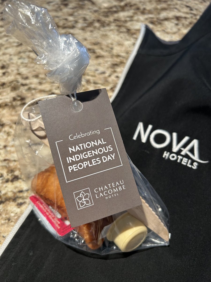 Bulavinaka's tweet image. Celebrating National Indigenous Peoples Day, June 21, 2025. Recognizing the cultures and contributions of the First Nations, Inuit, and Métis Indigenous peoples of Canada @NovaHotels @ChateauLacombe @ExploreEdmonton @TravelAlberta 