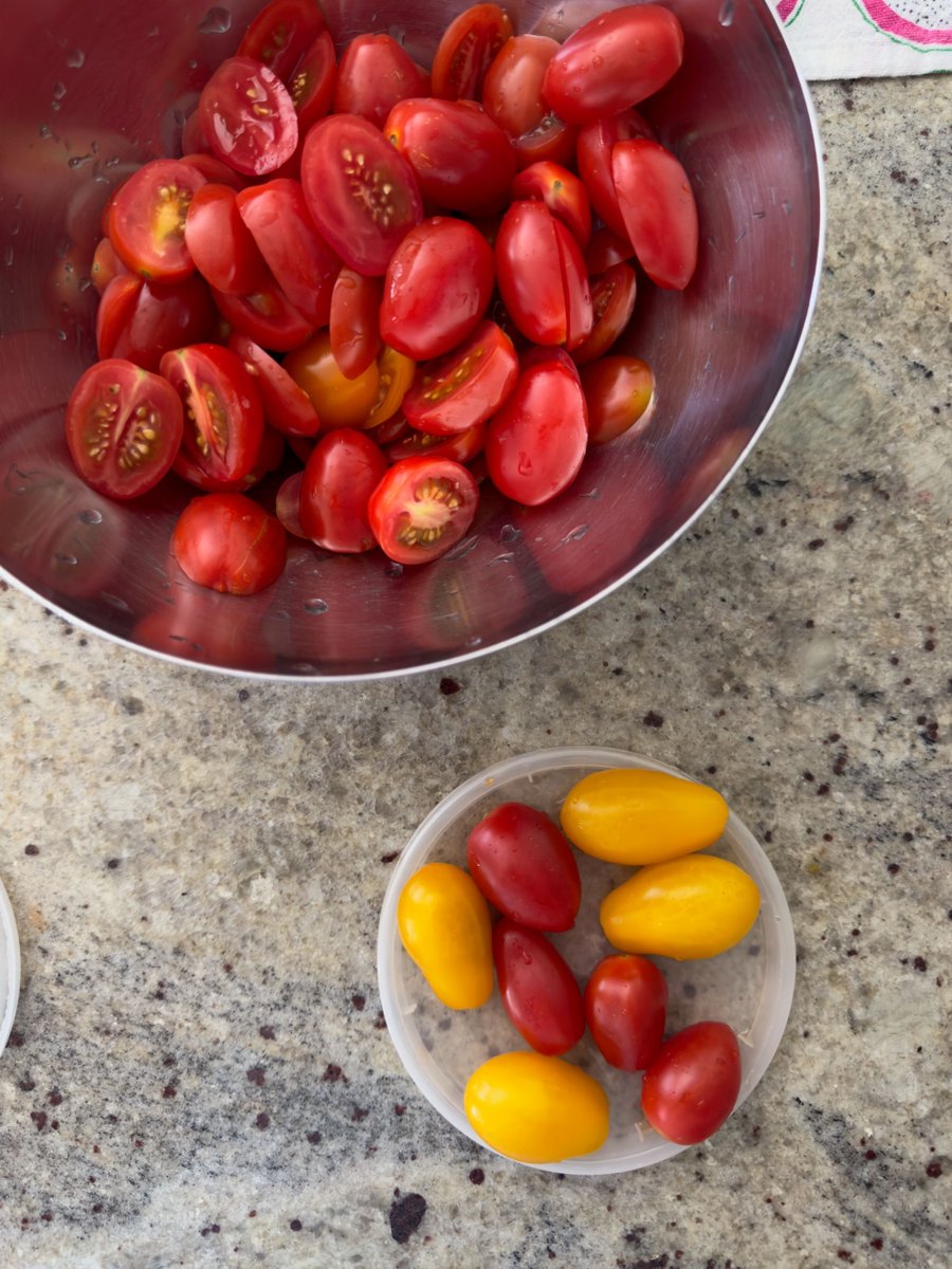 Got a lot of cherry tomatoes you want to slice?

1. Place tomatoes between two lids with a rim. 
2. Lids should be equal in size. 
3. Have the rims face each other, holding tomatoes. 
4. Slice between the gap. 

I sliced all these in about 5 minutes