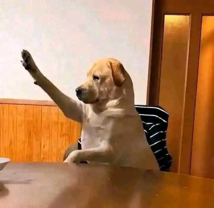 A genuine question to Zimbabweans. 
When you approach me or start a conversation with me in Shona and I respond in isiNdebele and you say "andinzvi ndevere" and I code switch to English, you continue in Shona. 
Do you honestly expect me to continue the conversation?