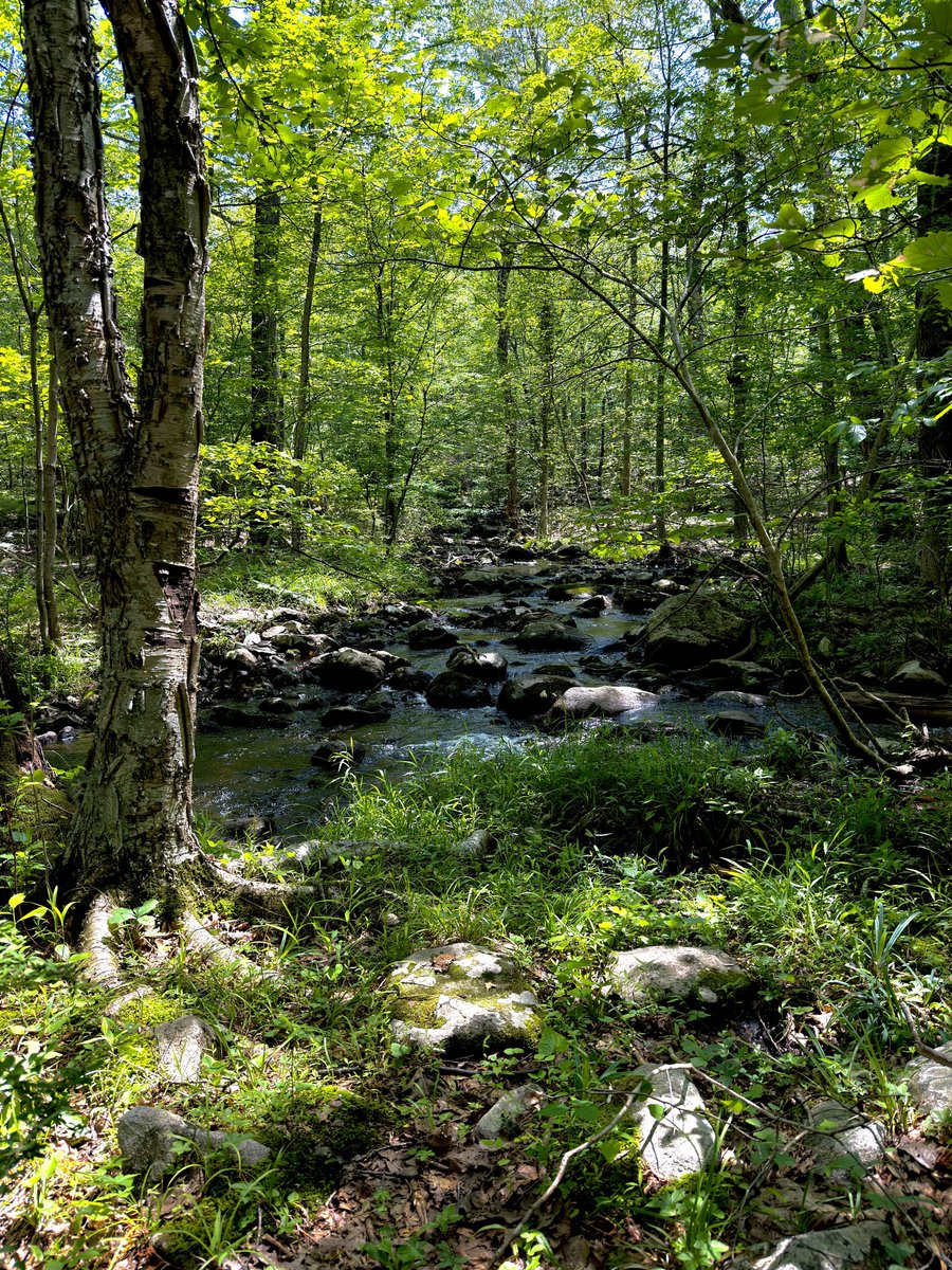 Iuhwalk's tweet image. #PutThePhoneDown #GoOutside