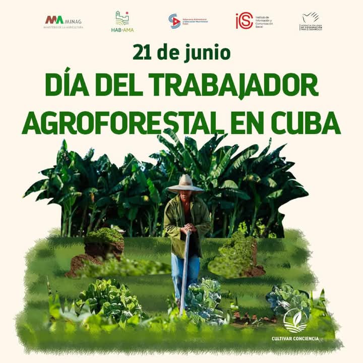 Adriana Ballester (@adrianabhdez) on Twitter photo Detrás de cada árbol 🌲🌳, cada trozo de madera, cada paisaje y cada bosque..hay un trabajador forestal. Felicidades!!!. <a href="/MinagCuba/">Ministerio de la Agricultura de Cuba</a> #AgriculturaCubana Detrás de cada árbol 🌲🌳, cada trozo de madera, cada paisaje y cada bosque..hay un trabajador forestal. Felicidades!!!. <a href="/MinagCuba/">Ministerio de la Agricultura de Cuba</a> #AgriculturaCubana