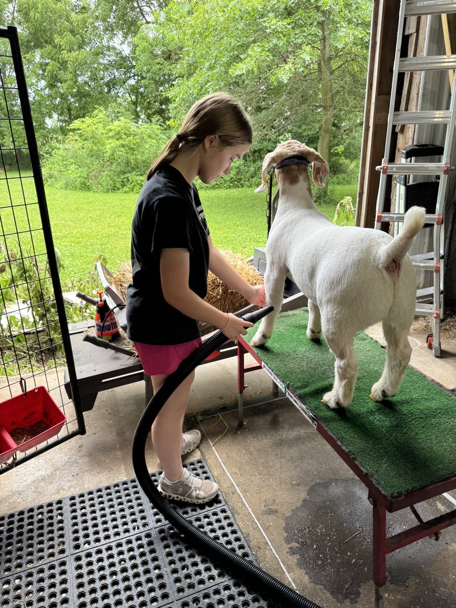 Summer SAE visits this weekend.