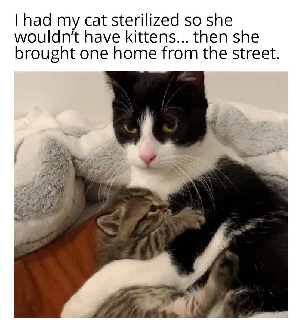 ❤️ ❤️ ❤️