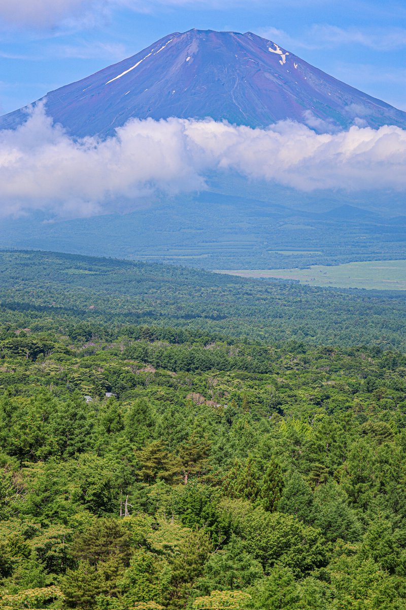 backingline1's tweet image. おはようございます😀💕💕