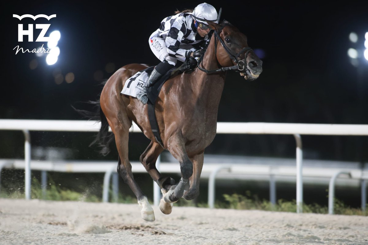 Orden definitivo de la séptima carrera, Premio Abe de Fuego:

🥇 Pinsapo  
🥈 Alphabetic
🥉 Chiquitin