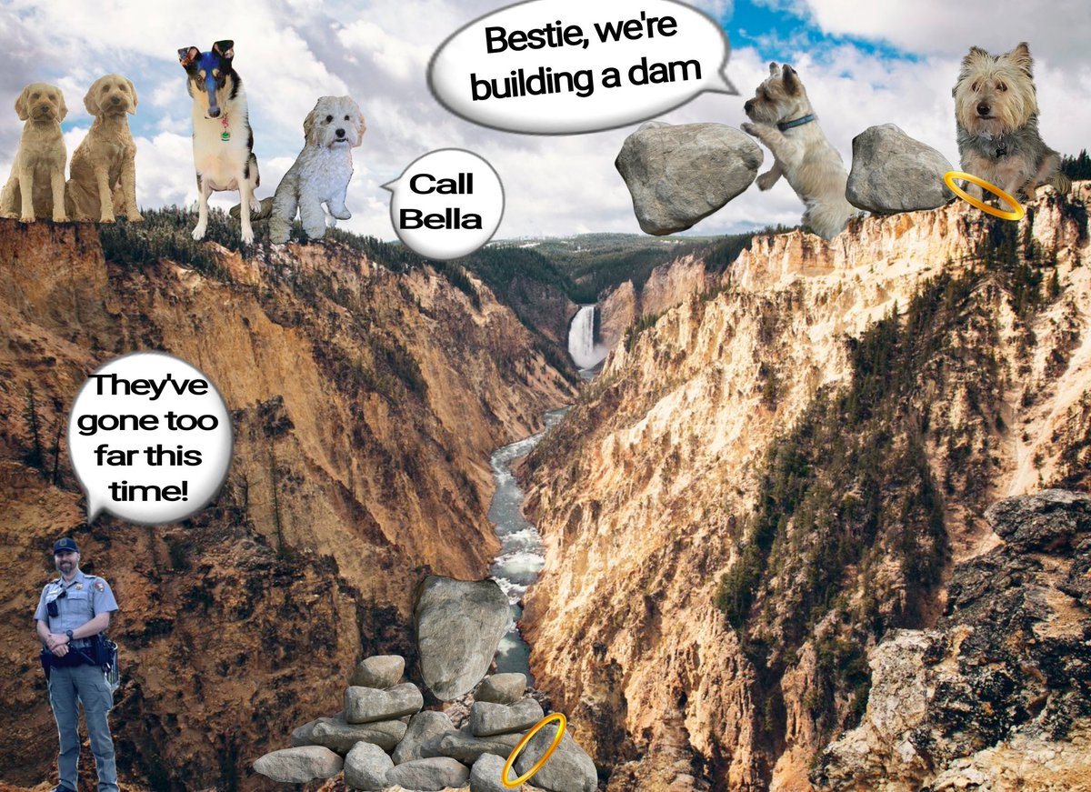 Norman Dillon🌈BovverBoy (@norman_dillon1) on Twitter photo Great idea of ours bestie.... we can build a dam. Use yer manly muscles & push that boulder over here and I'll roll it over the edge! Blimey, that one nearly hit that policeman!
#theruffriderz #BovverBoys #BovverBoysForever #YellowstonePark <a href="/jennystape/">JACK BovverBoy</a> <a href="/CollieMoxie/">ᴹⁱˢˢ ᴹᵒˣⁱᵉ (ᵀʷⁱᵍᵍʸ ⁱˢ ᶠⁱⁿᵉ)</a> <a href="/ODoodles1/">ApprenticeBovverBoyyos🏍🏍</a> Great idea of ours bestie.... we can build a dam. Use yer manly muscles & push that boulder over here and I'll roll it over the edge! Blimey, that one nearly hit that policeman!
#theruffriderz #BovverBoys #BovverBoysForever #YellowstonePark <a href="/jennystape/">JACK BovverBoy</a> <a href="/CollieMoxie/">ᴹⁱˢˢ ᴹᵒˣⁱᵉ (ᵀʷⁱᵍᵍʸ ⁱˢ ᶠⁱⁿᵉ)</a> <a href="/ODoodles1/">ApprenticeBovverBoyyos🏍🏍</a>