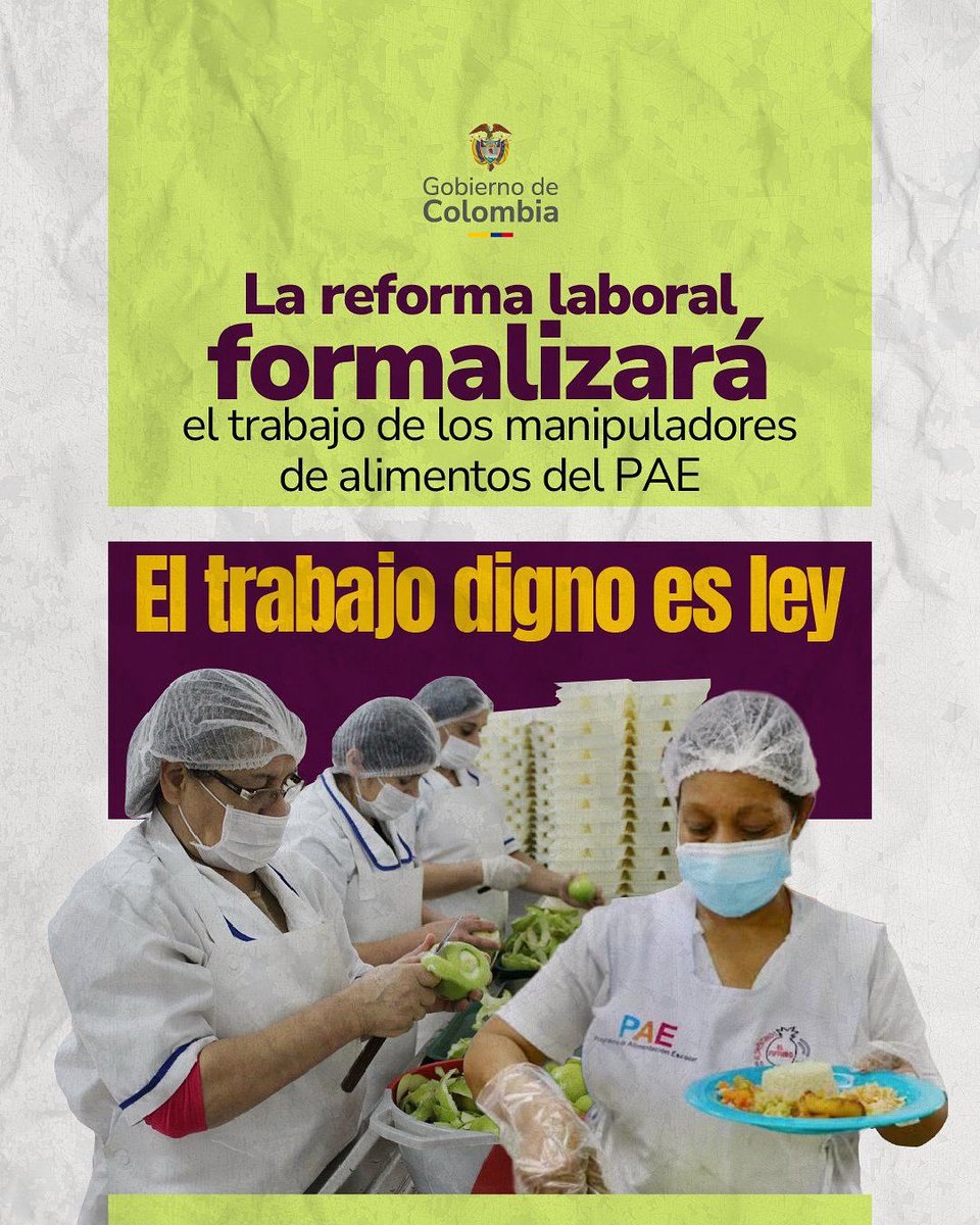 Con la Reforma Laboral se formalizará a las manipuladoras de alimentos del Plan Escolar de Alimentación, para que tengan acceso a un contrato estable, seguridad social, prestaciones y protección laboral. 

El proceso será gradual y la meta es que para el año 2028 el 100 % de las