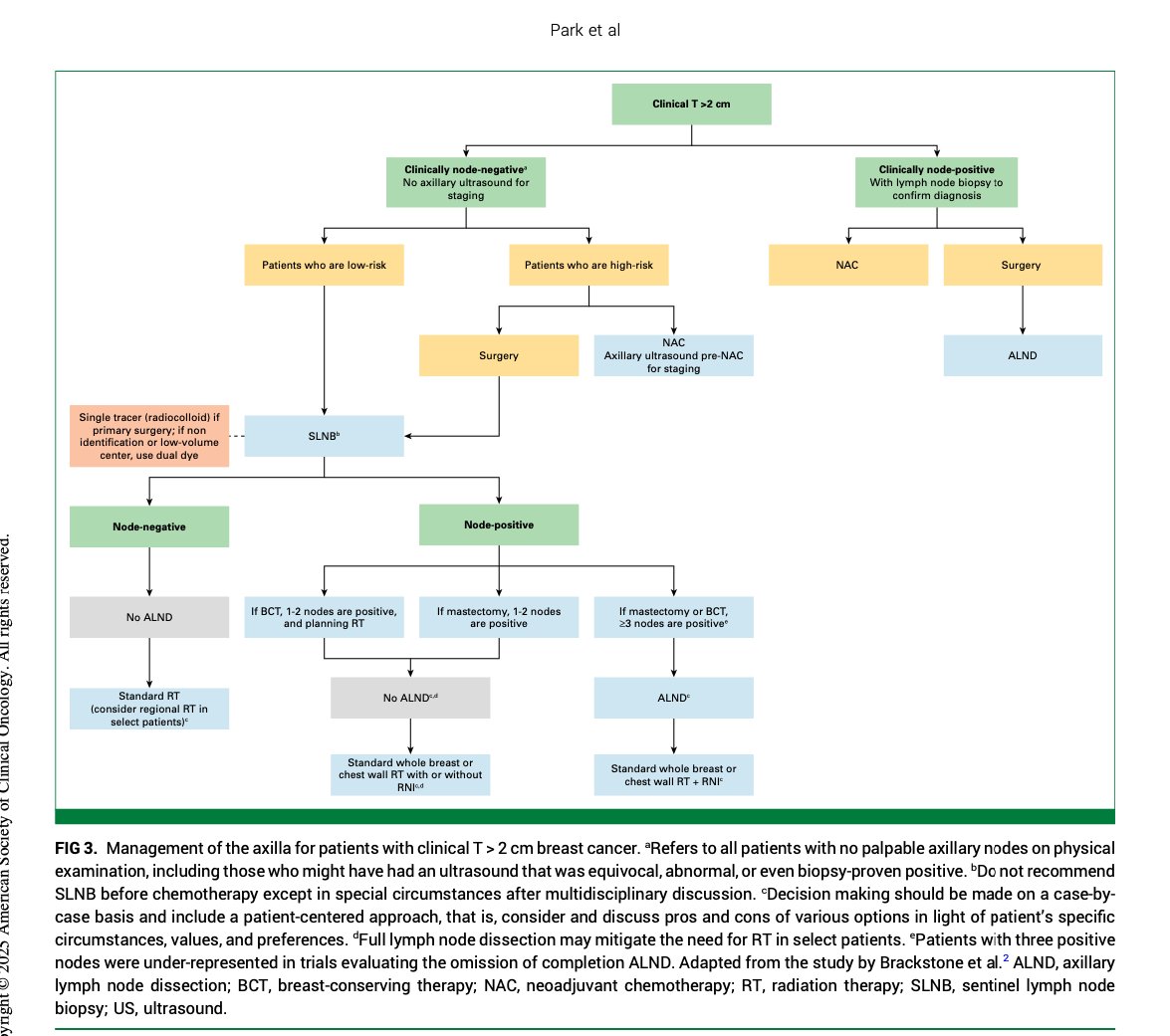 Jame Abraham, MD, FACP (@jamecancerdoc) on Twitter photo Sentinel Lymph Node Biopsy in Early-Stage Breast Cancer: ASCO Guideline Clinical Insights ascopubs.org/doi/pdf/10.120⦠<a href="/JCOOP_ASCO/">JCO Oncology Practice</a> <a href="/OncoAlert/">OncoAlert</a> <a href="/ASCO/">ASCO</a> <a href="/JCO_ASCO/">Journal of Clinical Oncology</a> Sentinel Lymph Node Biopsy in Early-Stage Breast Cancer: ASCO Guideline Clinical Insights ascopubs.org/doi/pdf/10.120⦠<a href="/JCOOP_ASCO/">JCO Oncology Practice</a> <a href="/OncoAlert/">OncoAlert</a> <a href="/ASCO/">ASCO</a> <a href="/JCO_ASCO/">Journal of Clinical Oncology</a>