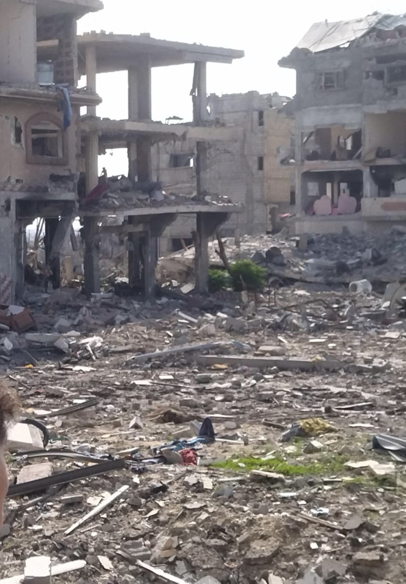 deema_dana1's tweet image. We need your help urgently πππ
Please Help us even by one donation π
gofund.me/50a04706