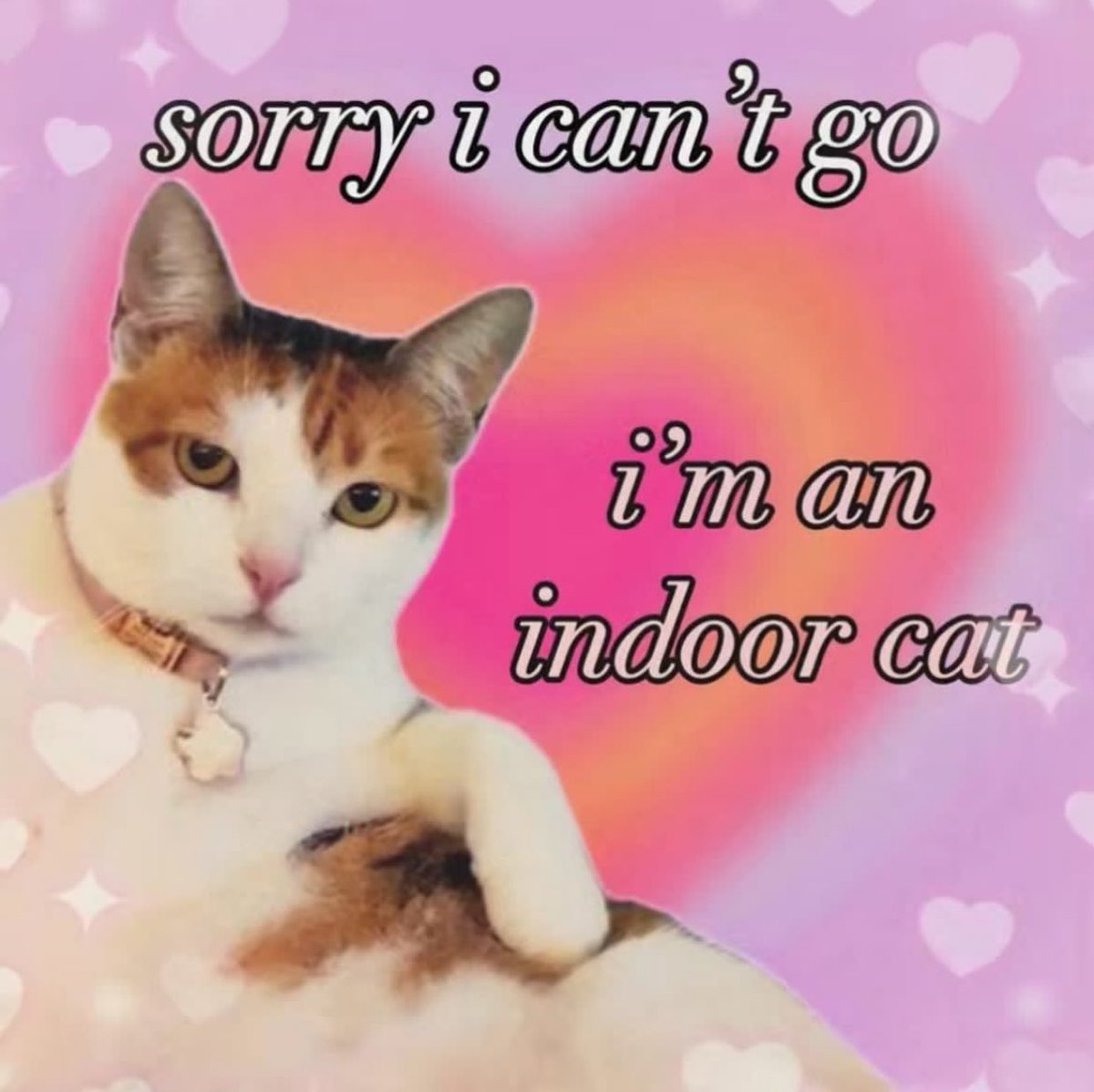 The Notorious J.O.V. (@whotfisjovana) on Twitter photo 