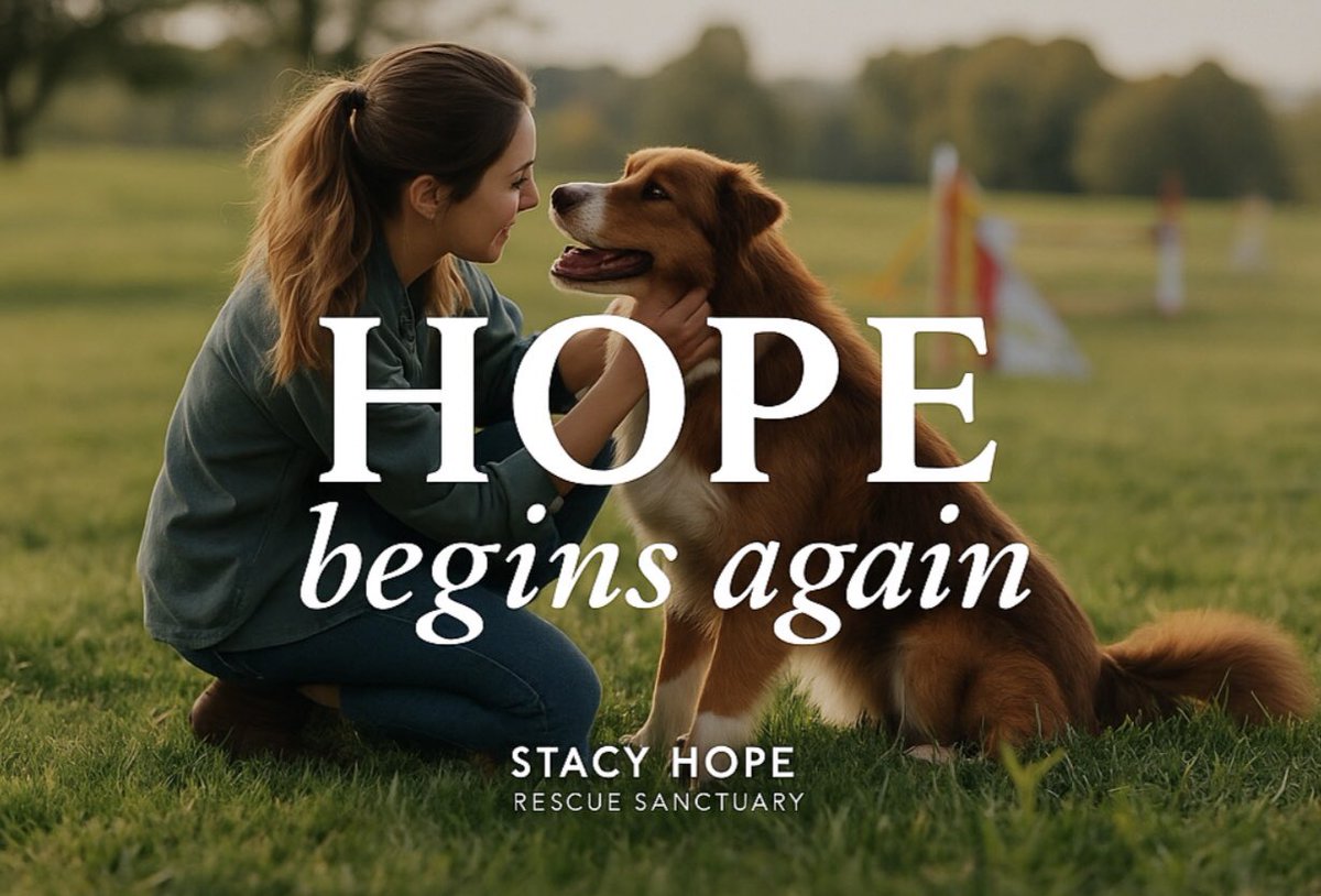 Iza_2021's tweet photo. We’re planning to build a sanctuary for the dogs no one else wants!! old, scared, abandoned souls who’ve already been failed too many times.
But we’re NOT getting the help I hoped for 🥺 I can’t do this alone.
Especially with the ongoing boarding costs $5730 monthly 💔
They need this haven & It won’t be like traditional shelters with kennel rows. We will share the plans soon (even for the plans it requires money 😭)
Please help us build a sanctuary for the dogs in need🙏🏼
Donate even $5 🥹
https://t.co/4d0Z2daLwz
This is what home will look like .