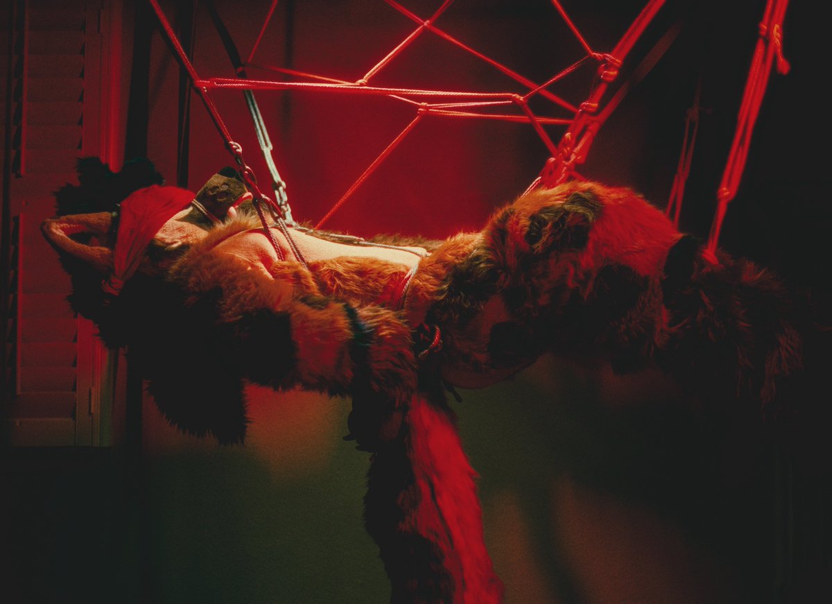 Koro コロ 🔜 FWA, MP(?) (@koroyeen) on Twitter photo Blindfolded, tied up, and ready to be used this 621 day 🥴
📸: <a href="/ChatahSpots/">Migo💢|Chatah🏖☀️</a>
🪢: <a href="/shibari_furry/">放課後部 shibari🪢</a>
#fursuit #shibari Blindfolded, tied up, and ready to be used this 621 day 🥴
📸: <a href="/ChatahSpots/">Migo💢|Chatah🏖☀️</a>
🪢: <a href="/shibari_furry/">放課後部 shibari🪢</a>
#fursuit #shibari
