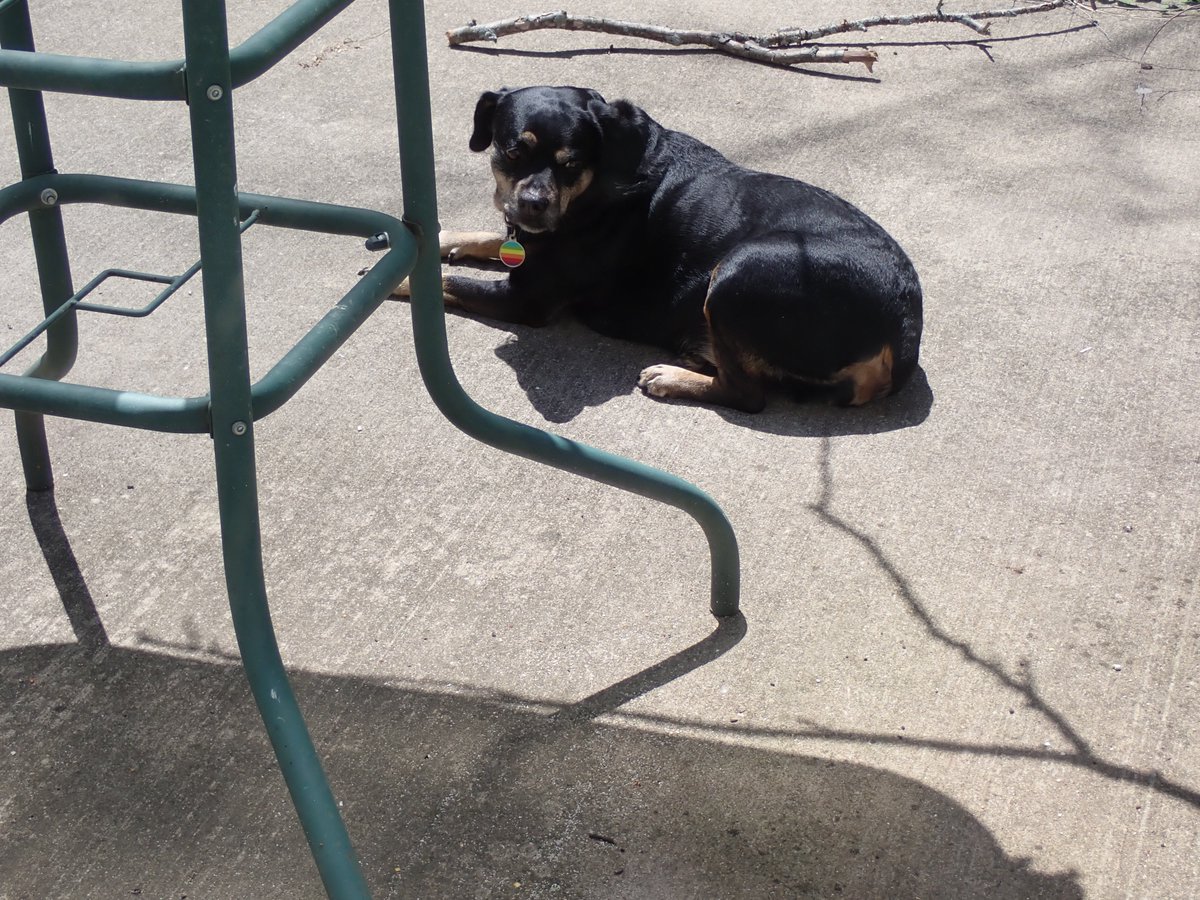 What kind of nutjob BASKS when it's 94 degrees outside?