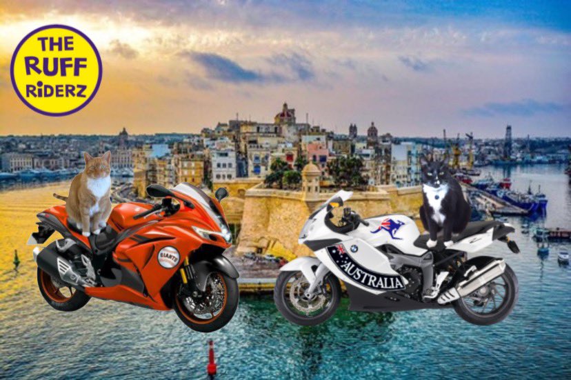 TheRuffRiderz (@theruffriderz) on Twitter photo Ise hopes dat youse all enjoyed today’s ride in honor of owr pal, Jerry <a href="/jerry_tuxedo/">Angel 🌈 Captain Jerry🫡 & Brugge🐻 🐾⛱🇦🇺🏝</a>. ❤️💔😿
Da #theruffriderz welcomez anyone to join! Weez ride eberyfing three months. If youse interested in joining, pwease contact Pumpkin <a href="/cathiebun/">Colonel Pumpkin da Mookin, RIP all mine fwends 🌈.</a>. Weez wuld lub to hab youse!! 🏍️🏍️ Ise hopes dat youse all enjoyed today’s ride in honor of owr pal, Jerry <a href="/jerry_tuxedo/">Angel 🌈 Captain Jerry🫡 & Brugge🐻 🐾⛱🇦🇺🏝</a>. ❤️💔😿
Da #theruffriderz welcomez anyone to join! Weez ride eberyfing three months. If youse interested in joining, pwease contact Pumpkin <a href="/cathiebun/">Colonel Pumpkin da Mookin, RIP all mine fwends 🌈.</a>. Weez wuld lub to hab youse!! 🏍️🏍️
