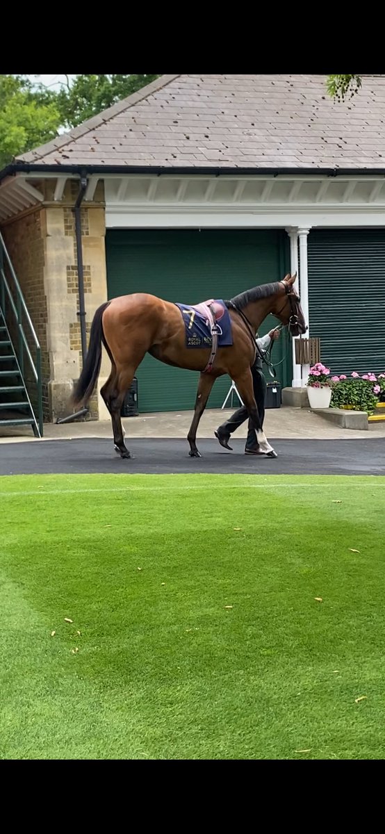 Daryl Jacob (@dazjacob10) on Twitter photo Great 5 days entertaining guests <a href="/Ascot/">Ascot Racecourse</a> <a href="/OnSideVIP/">OnSideHospitality</a> <a href="/IJF_official/">Injured Jockeys Fund</a>.Thanks again to <a href="/brooktaverner/">Brook Taverner</a> for all there help kitting me out.#tips#winners#🥂🥂#goodfun Great 5 days entertaining guests <a href="/Ascot/">Ascot Racecourse</a> <a href="/OnSideVIP/">OnSideHospitality</a> <a href="/IJF_official/">Injured Jockeys Fund</a>.Thanks again to <a href="/brooktaverner/">Brook Taverner</a> for all there help kitting me out.#tips#winners#🥂🥂#goodfun
