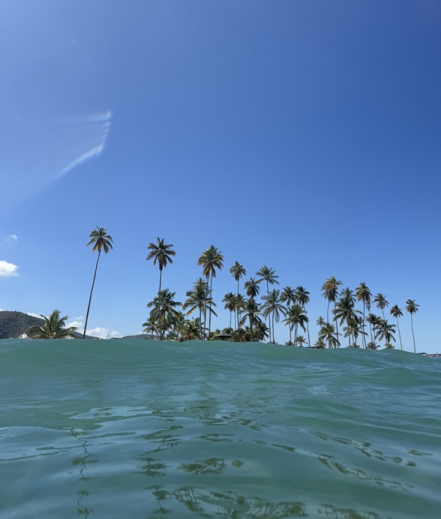 AlvarezSaraC's tweet photo. Usan caribeño como insulto y uno aquí relajadito en la playa 🏝️ https://t.co/8qTQTkAJoE