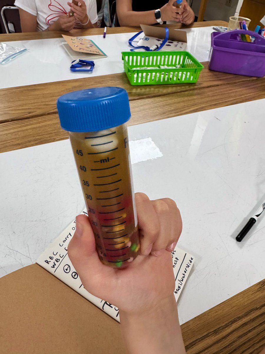 CHCCS Career Development Coordinator (@chccs_cte) on Twitter photo ECHHS has offered a STEM summer camp; InnovateHER. This camp was designed to inspire young girls to be more interested in STEM. Day 1: Biomed; students learn about the human body, strawberry DNA and more! <a href="/chccs/">Chapel Hill-Carrboro City Schools</a> ECHHS has offered a STEM summer camp; InnovateHER. This camp was designed to inspire young girls to be more interested in STEM. Day 1: Biomed; students learn about the human body, strawberry DNA and more! <a href="/chccs/">Chapel Hill-Carrboro City Schools</a>